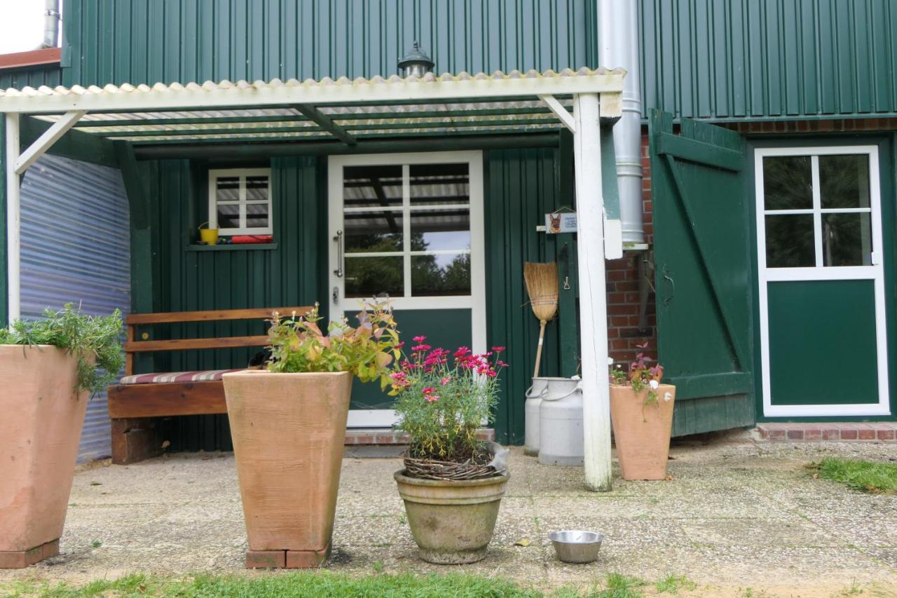 Ferienwohnung Weideglueck Osten Exterior photo